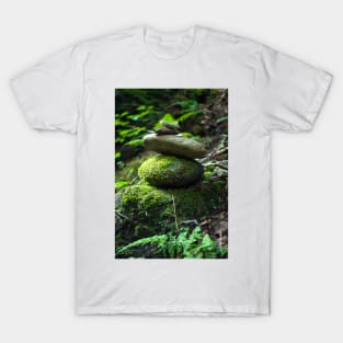 Balancing Rocks T-Shirt